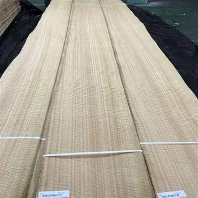 Betsad eukalyptusfaner